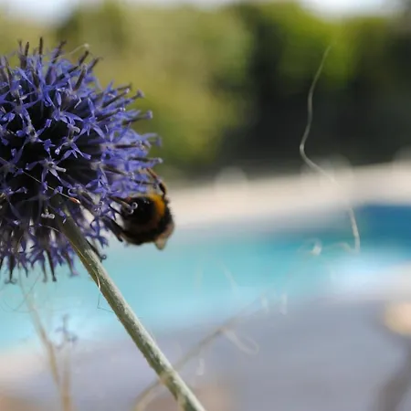 Eco-gite - Domaine De La Gavolerie * Bessé-sur-Braye