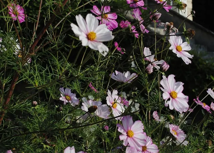 Eco-gîte - Domaine De La Gavolerie Bessé-sur-Braye