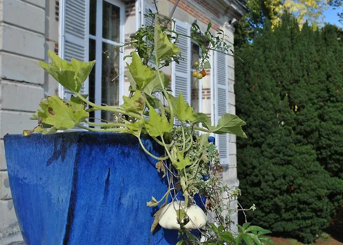 Eco-gîte - Domaine De La Gavolerie * Bessé-sur-Braye